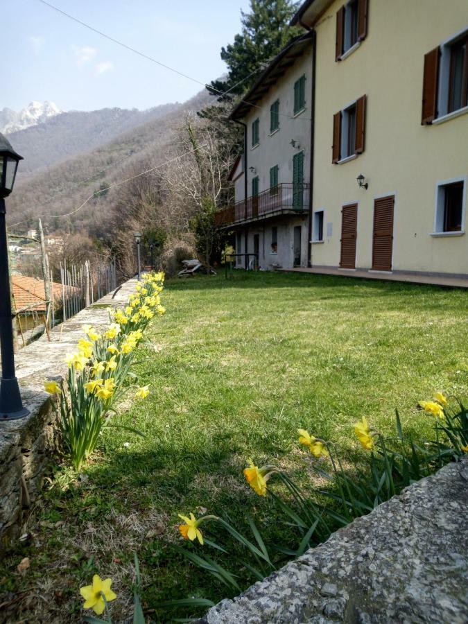 Villa Monti Mare à Seravezza Extérieur photo